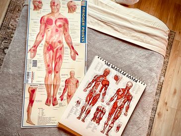 Images of trigger point chart and muscular system