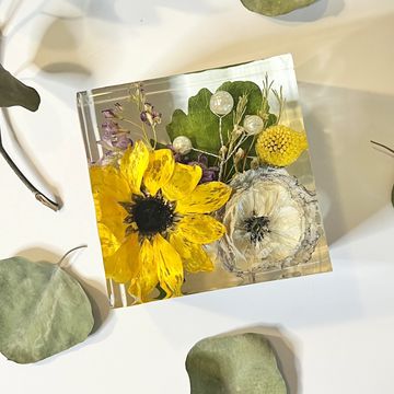 Flower preservation, floral preservation, flowers