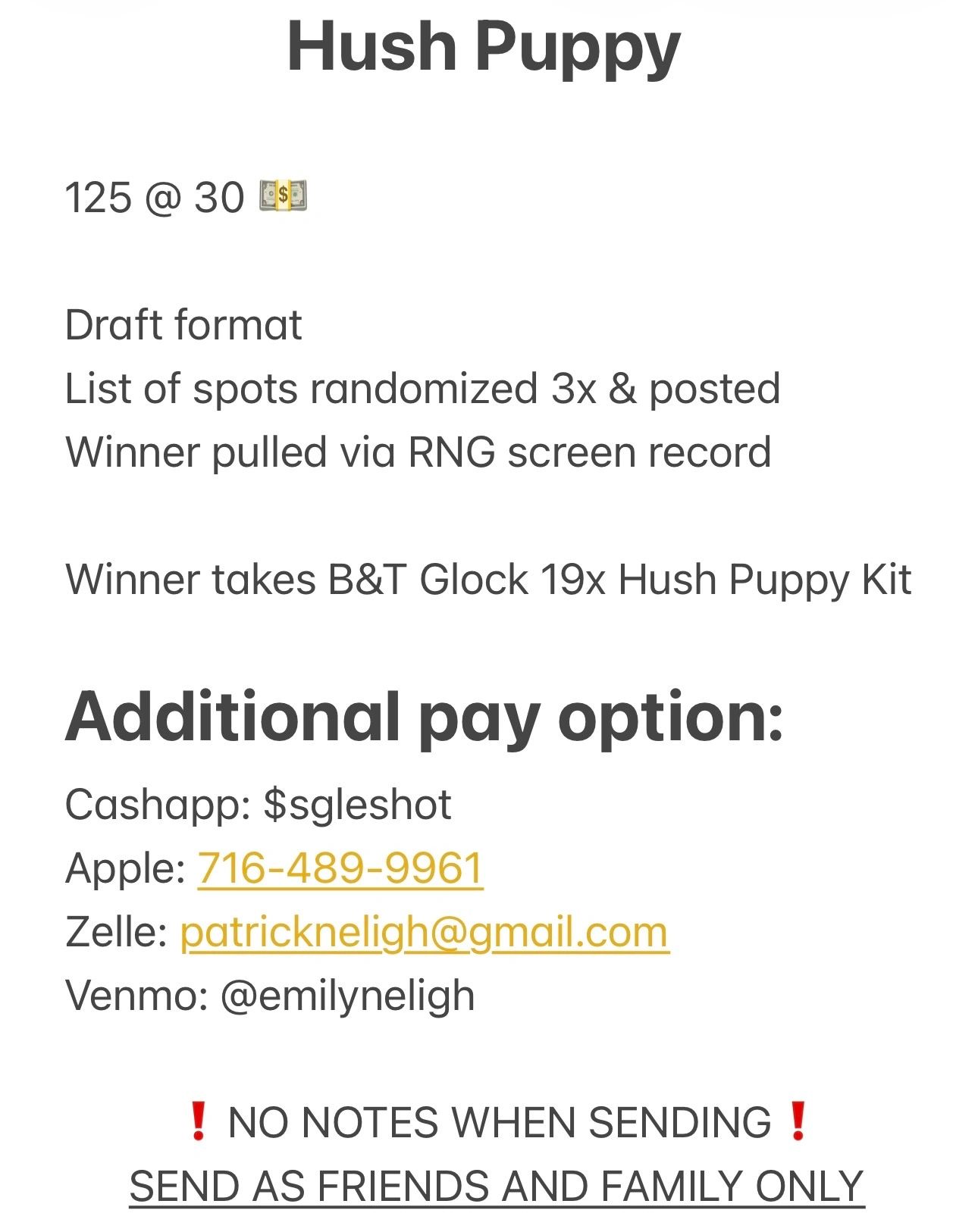Hush Puppy Glock 19x kit raffle with multiple payment options and RNG winner selection.