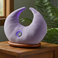 iMiracleprayerpillow