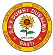 Sunflower International School