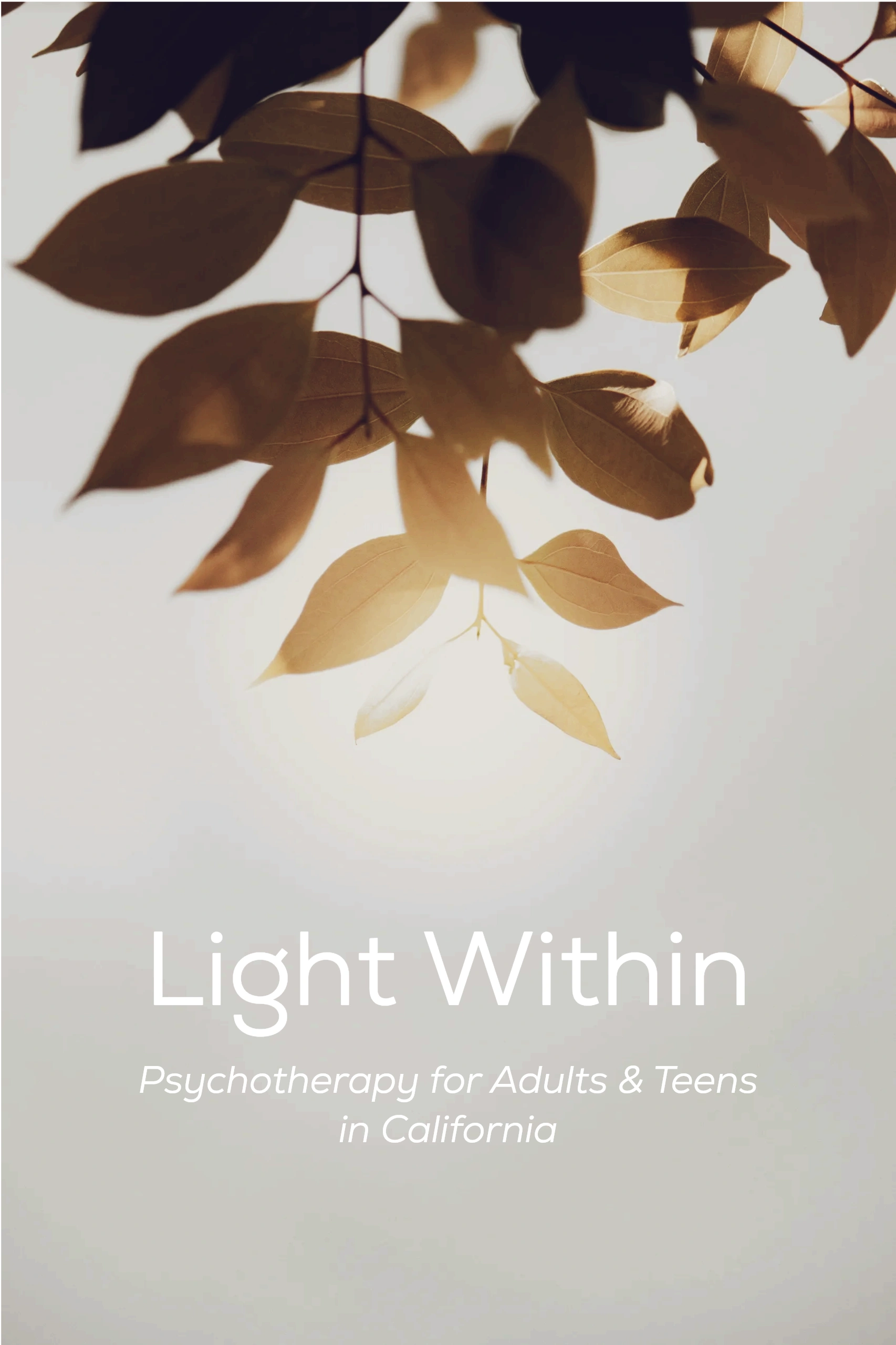 Light Within Therapy - Home