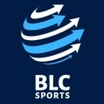 BLC Bryn Lee Consulting