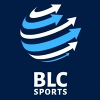 BLC Bryn Lee Consulting