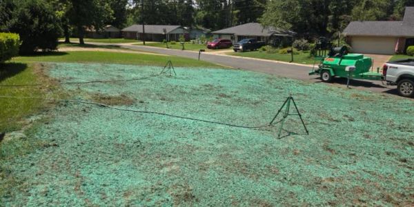 Lawn with hydroseeded grass in a suburban neighborhood.