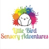 Little Bird Sensory Adventures

Ms. Hasty

The Real & Adventures