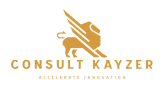 Consult Kayzer