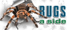 Bugs-A-Side Pest Control Services
