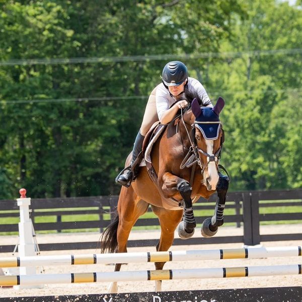 On The Farm | Ballyclarefarmofftrackthoroughbreds