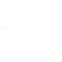 Exquisite Advisor Consulting Inc.