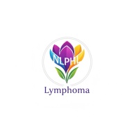 NLPHLConnet