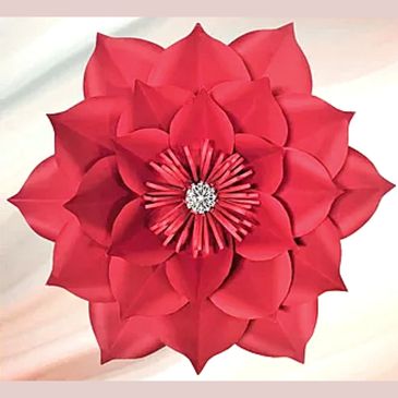 Paper Flower Workshops and Kits- Learn to Make – PETAL & BIRD