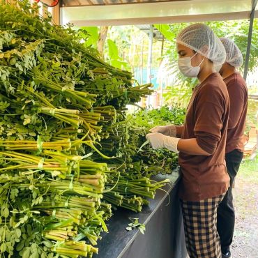 Workers sorting piles of green leafy vegetables.