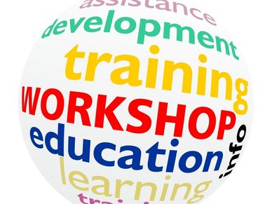 presentation of training education workshop etc.