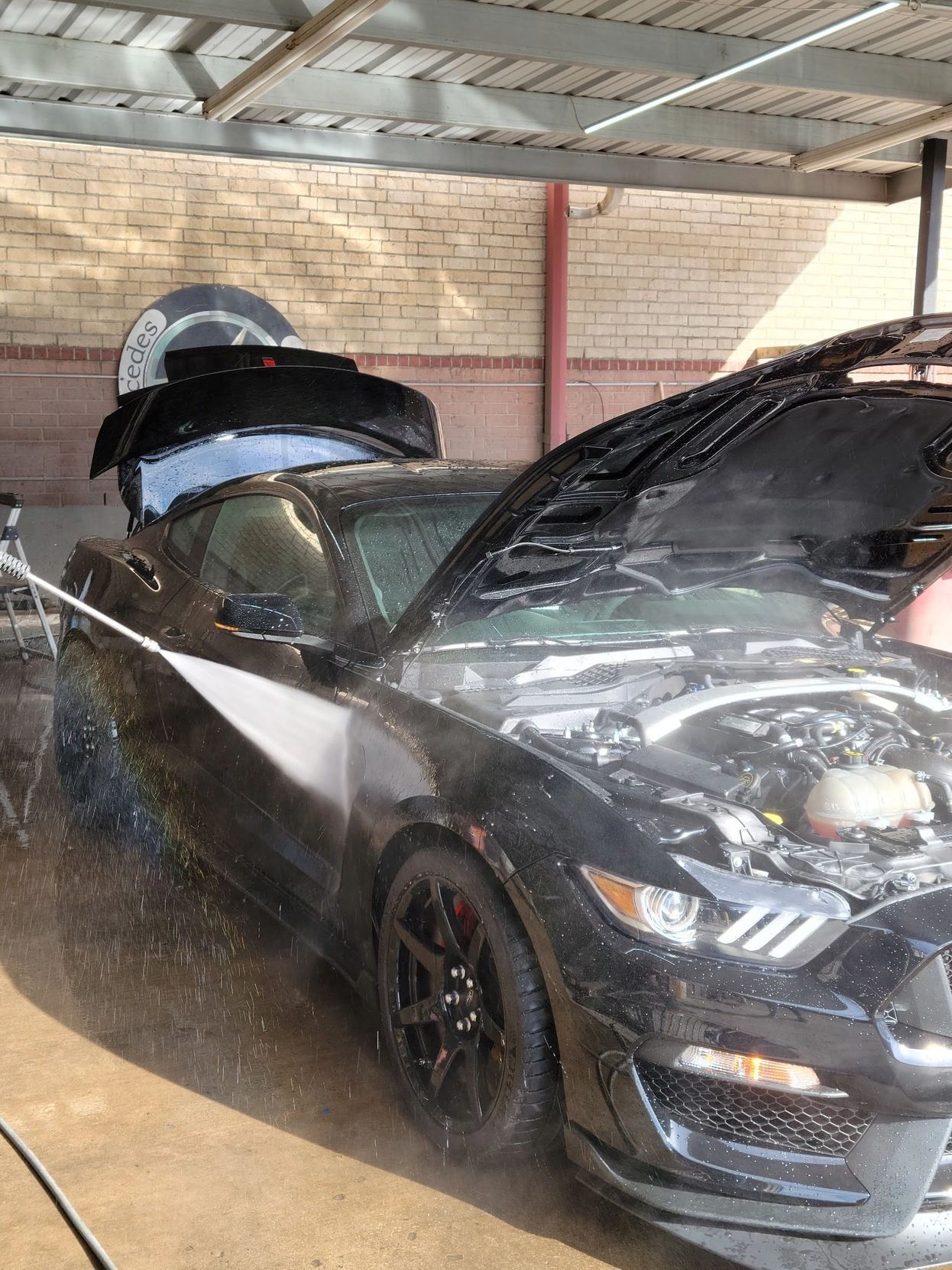 How to Wash Your Car - Auto Detailing TX