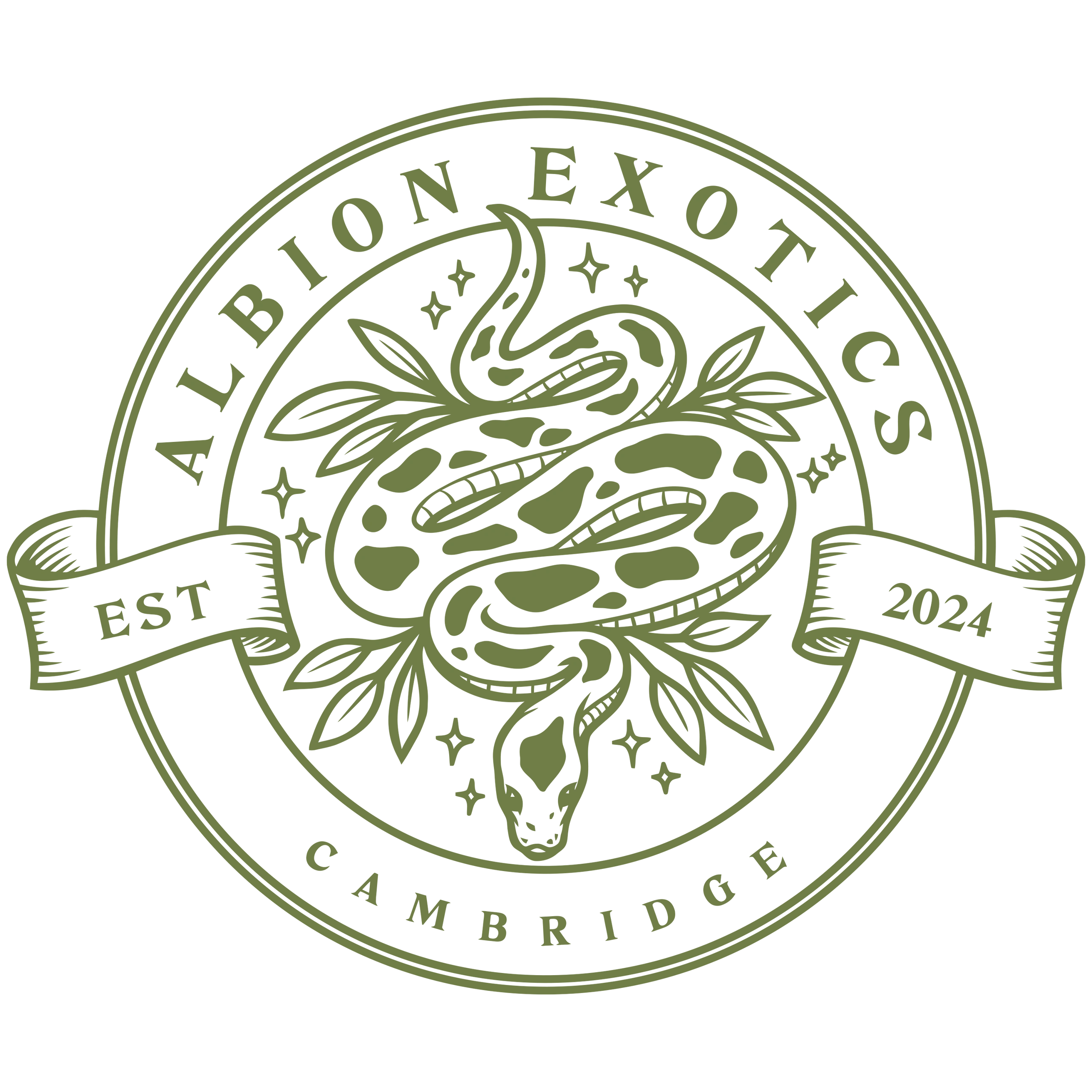 Albion Exotics