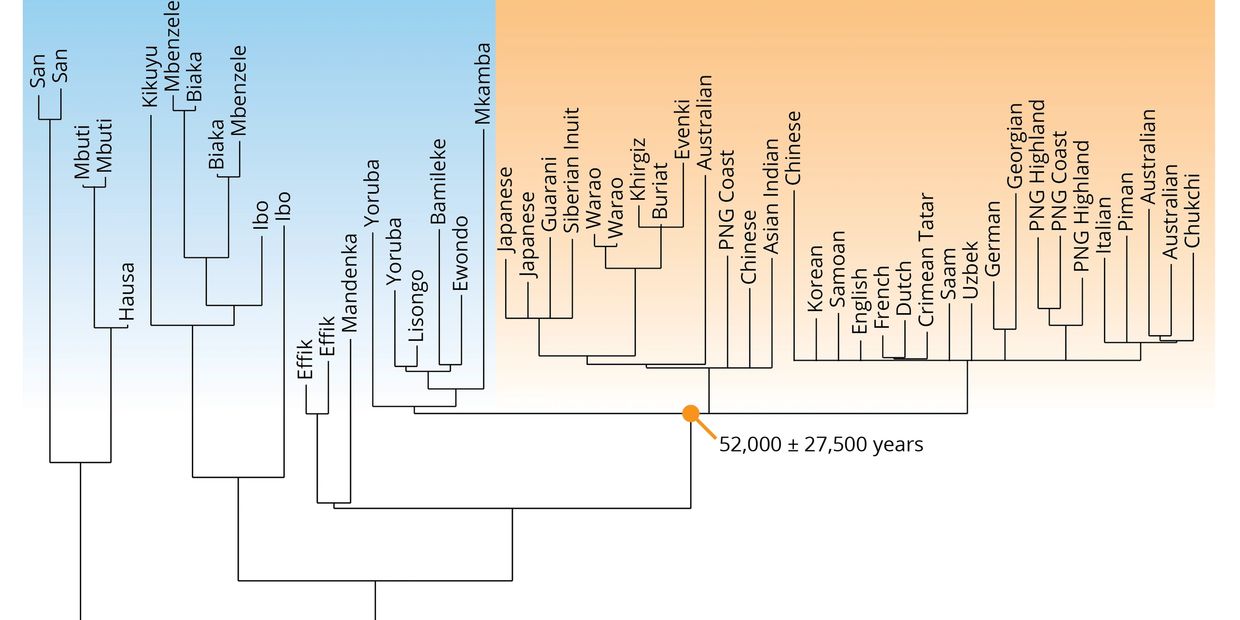 https://michitobler.github.io/primer-of-evolution/human-evolution.html