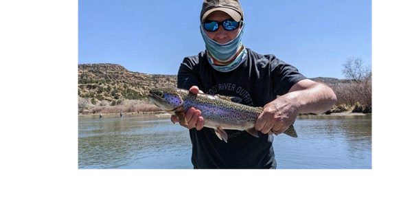 Rainbow trout: San Juan river, NM