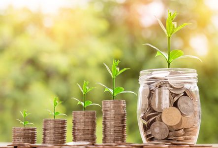 Stacks of quarters progressively getting larger from left to right with a jar full at the end and plants on top of each stack growing in direct relation to the quarters. 