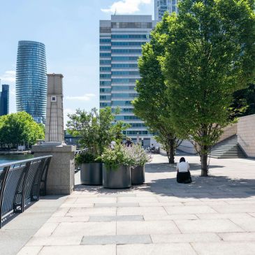 A person sitting under a tree in a modern urban area by the river.