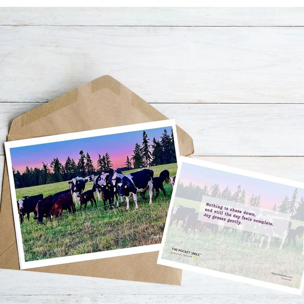 A group of cows grazing in a field at sunset with a peaceful quote card.