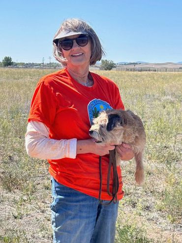 Woman in sunglasses holding a small dog outdoors on a sunny day.