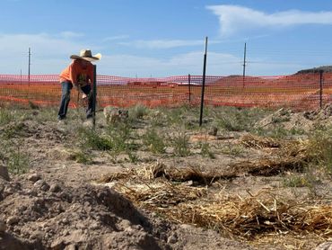Person working in a field with a dog nearby, surrounded by orange fencing.