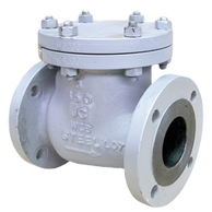 Cast Steel Check Valve