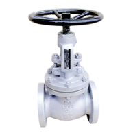 Cast Steel Globe Valve
