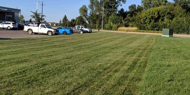 lush new lawn at a commercial location near a parking lot