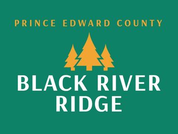 Black River Ridge barn offers a large open, art event space, high ceiling, 6 skylights, fully equipp