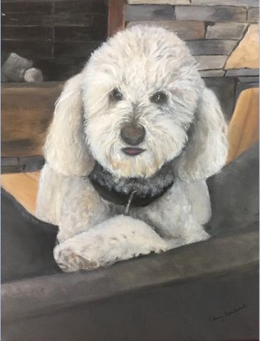 Dog on sofa