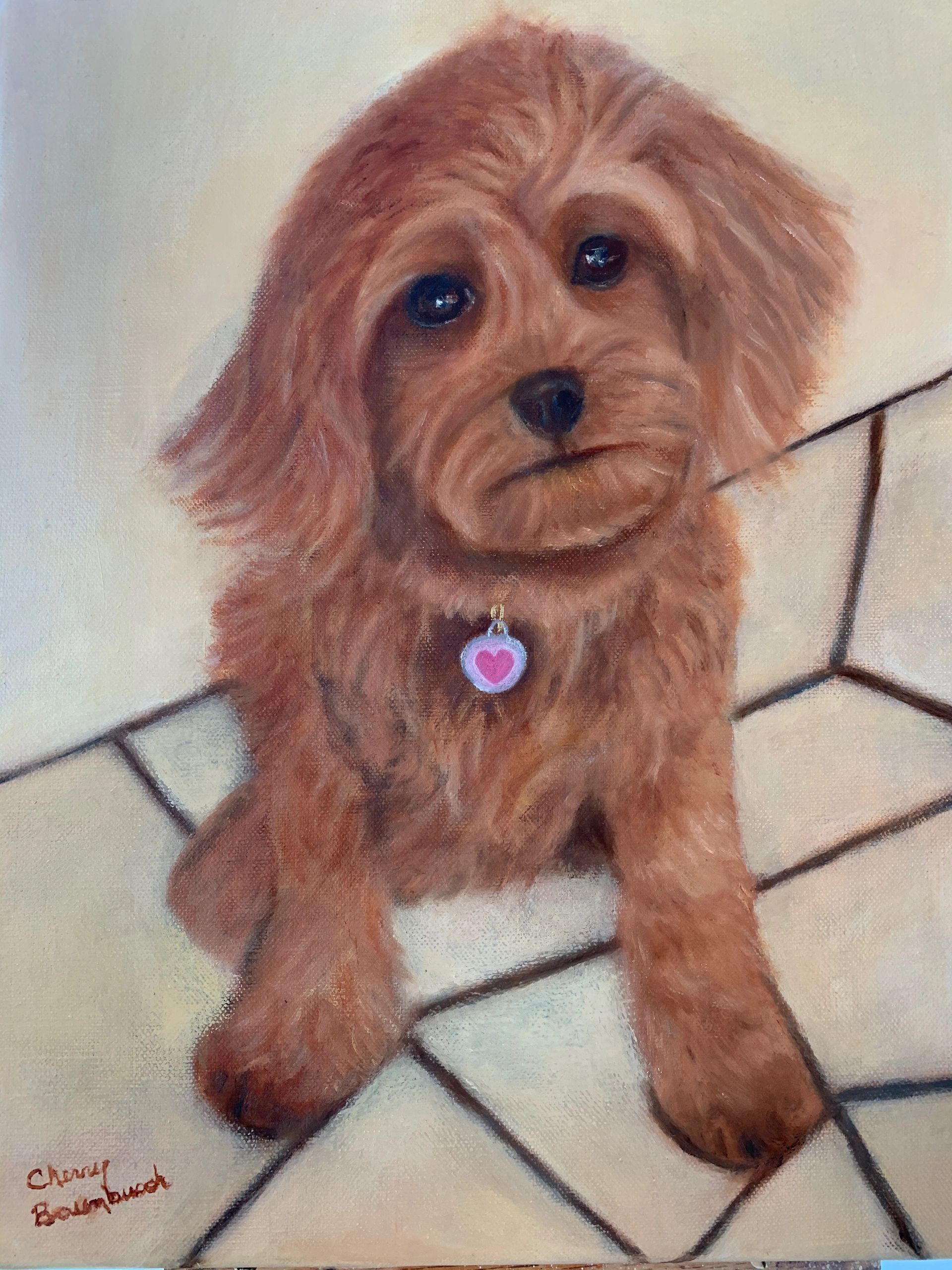 Cavapoo