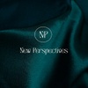 New Perspectives Consulting