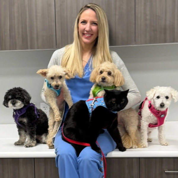 veterinarian holding cats and dogs.
