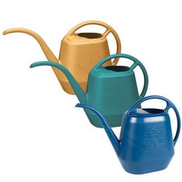 Aqua Rite 56oz Watering Can