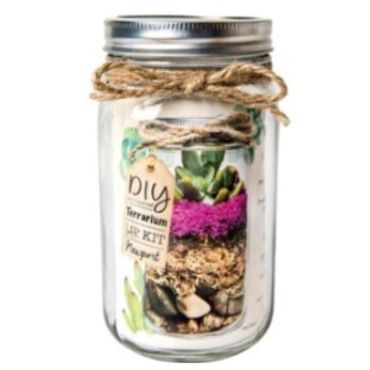 Terrarium Kit