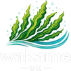 Wakame.uk