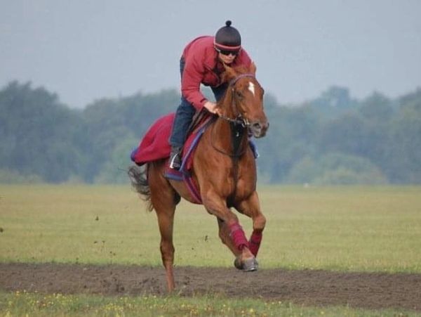 Exercise with Darley pre-training