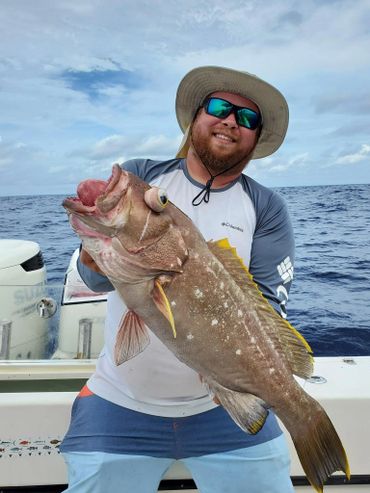Yellow edge grouper deep drop fishing charter