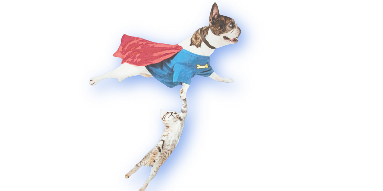 Ending cruel experimentation