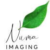 Numa Imaging