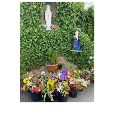 St Joseph’s Grotto. On Friday 10th May 2024, our school celebrated Our Lady. Each child placed a flo