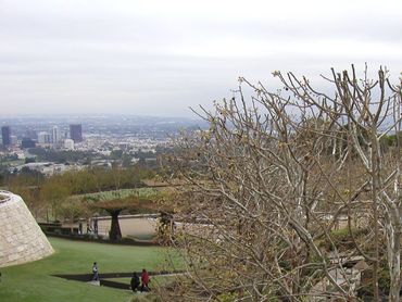 View of a city from a hill with leafless tree and people below.
