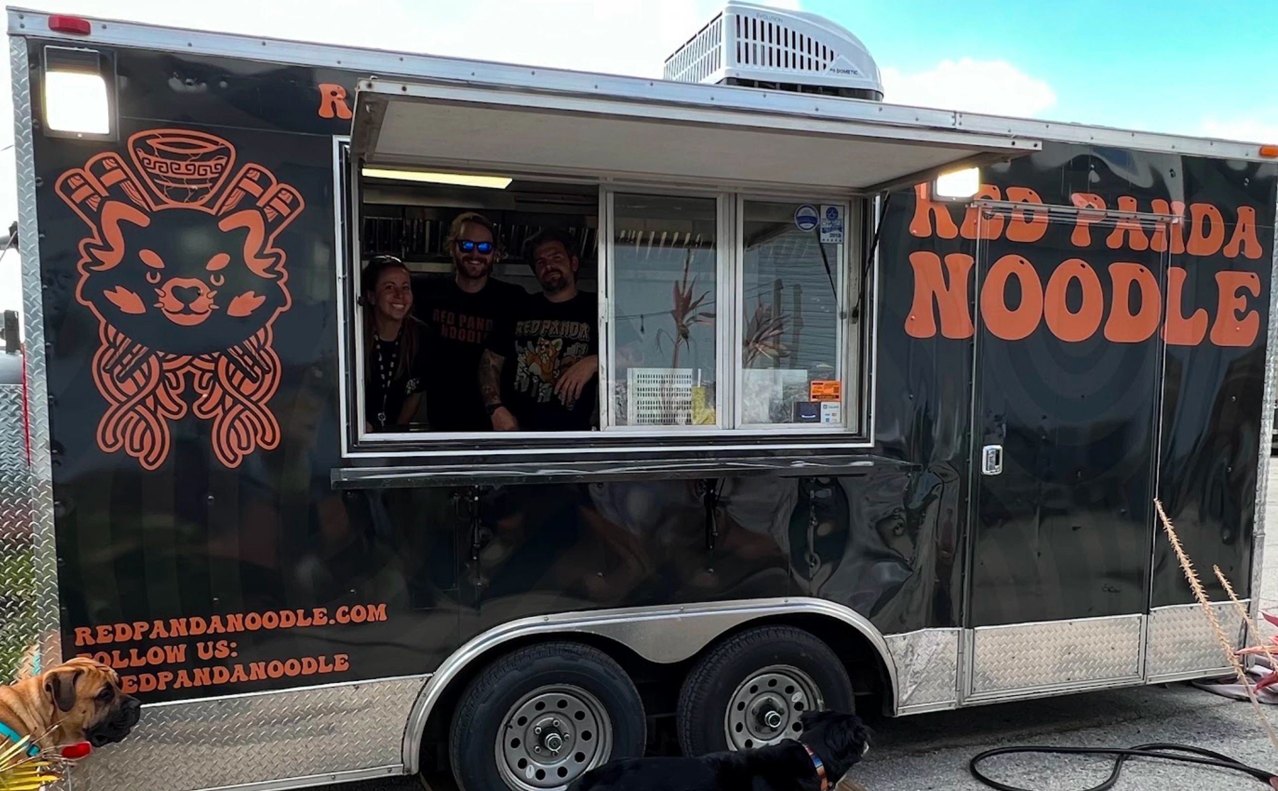 Unlocking The Mysteries Of The Red Panda Food Web - fyjf9ma