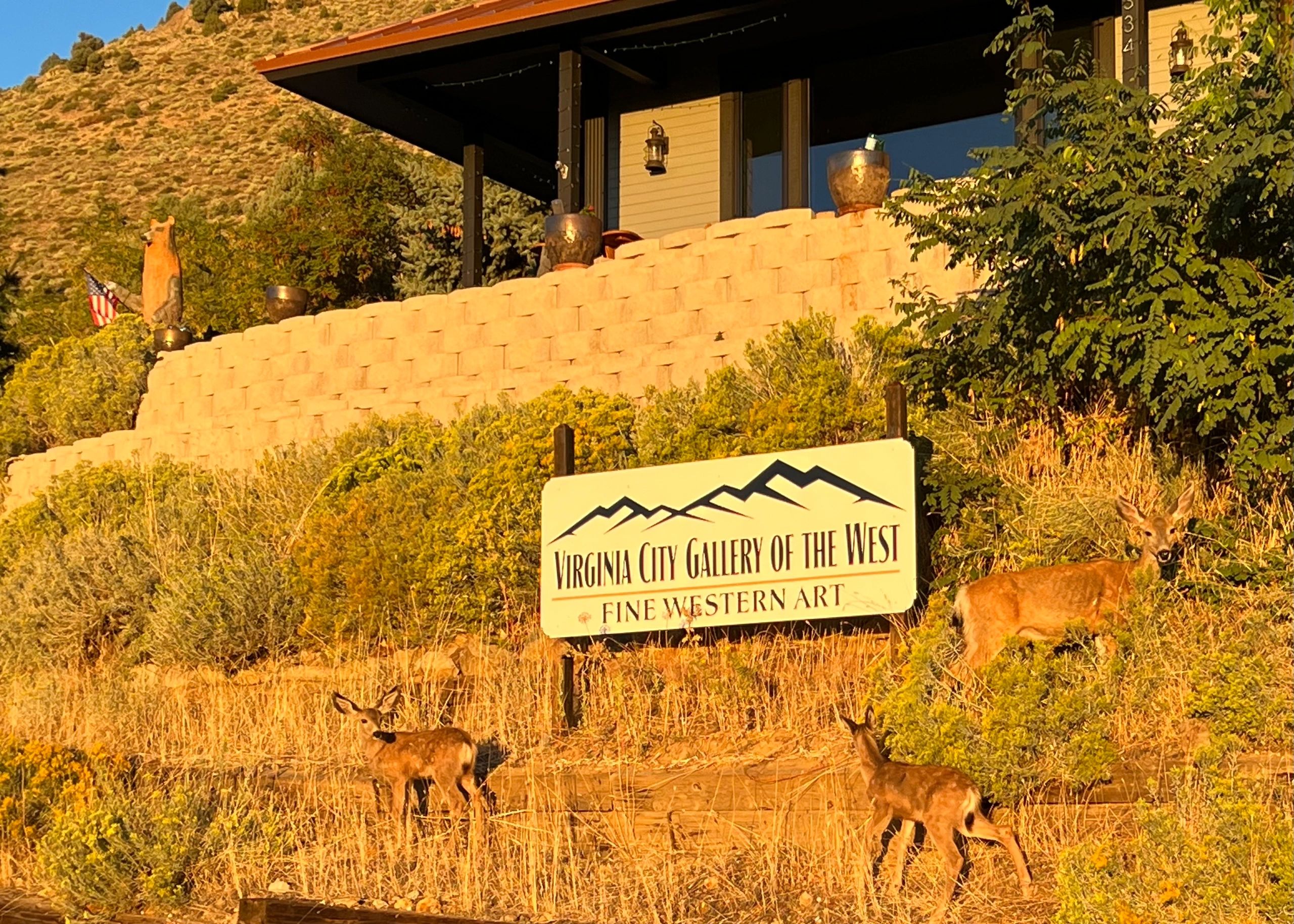 A doe and her fawns visited the gallery!