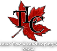 TLC Services