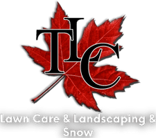 TLC Services