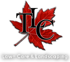 TLC Services