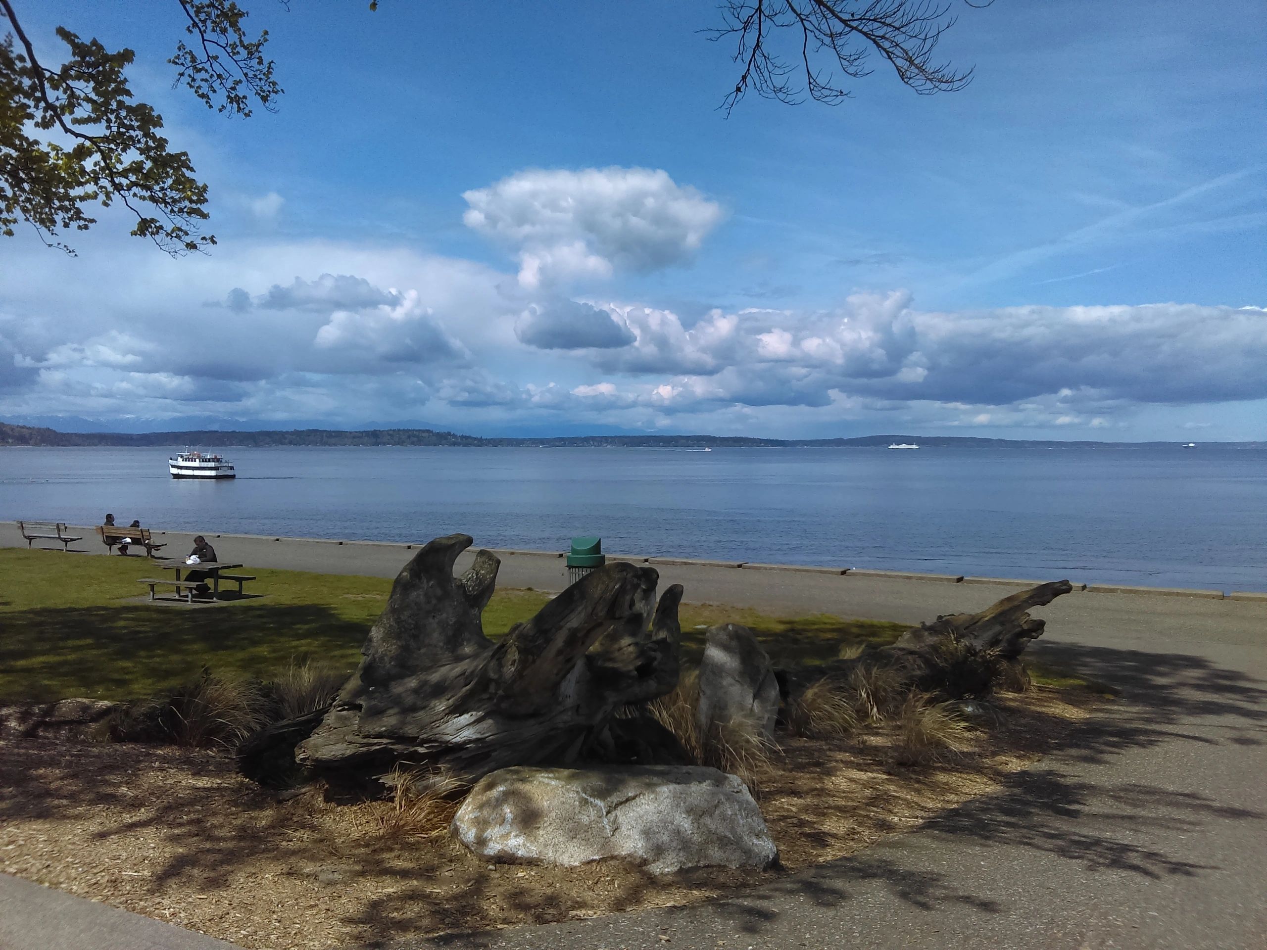 Apartment Rentals Alki Property Management LLC